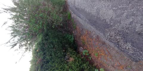 Sewer Odour, a report photo