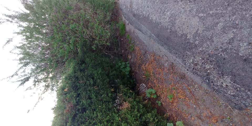 The photograph attached to this sewer odour report