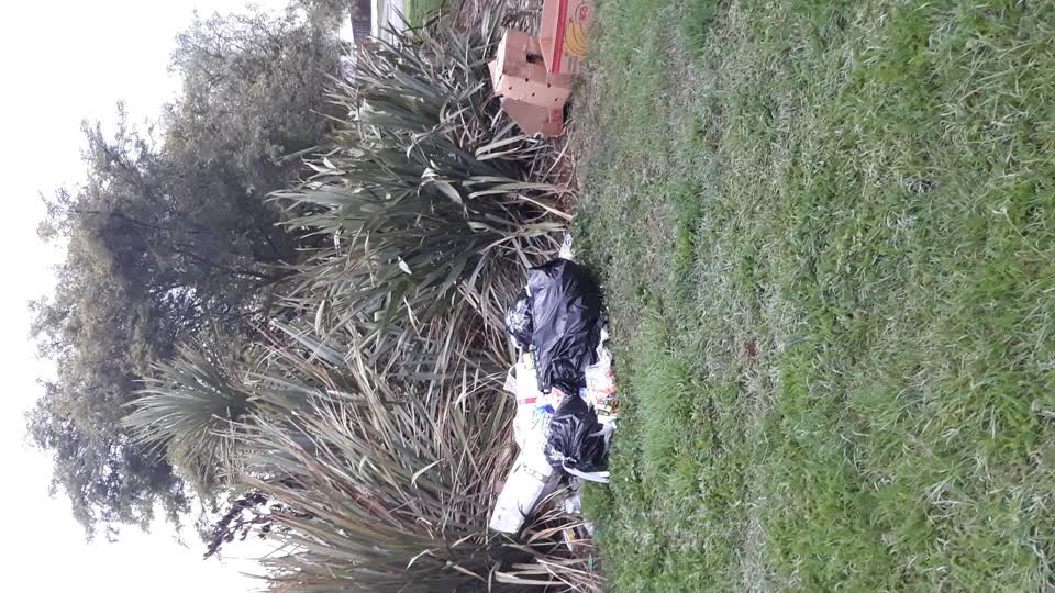 The photograph attached to this parks report