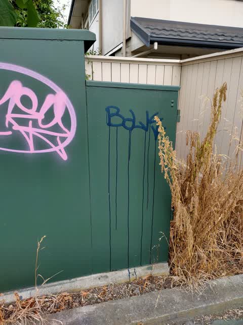 Graffiti, a report photo