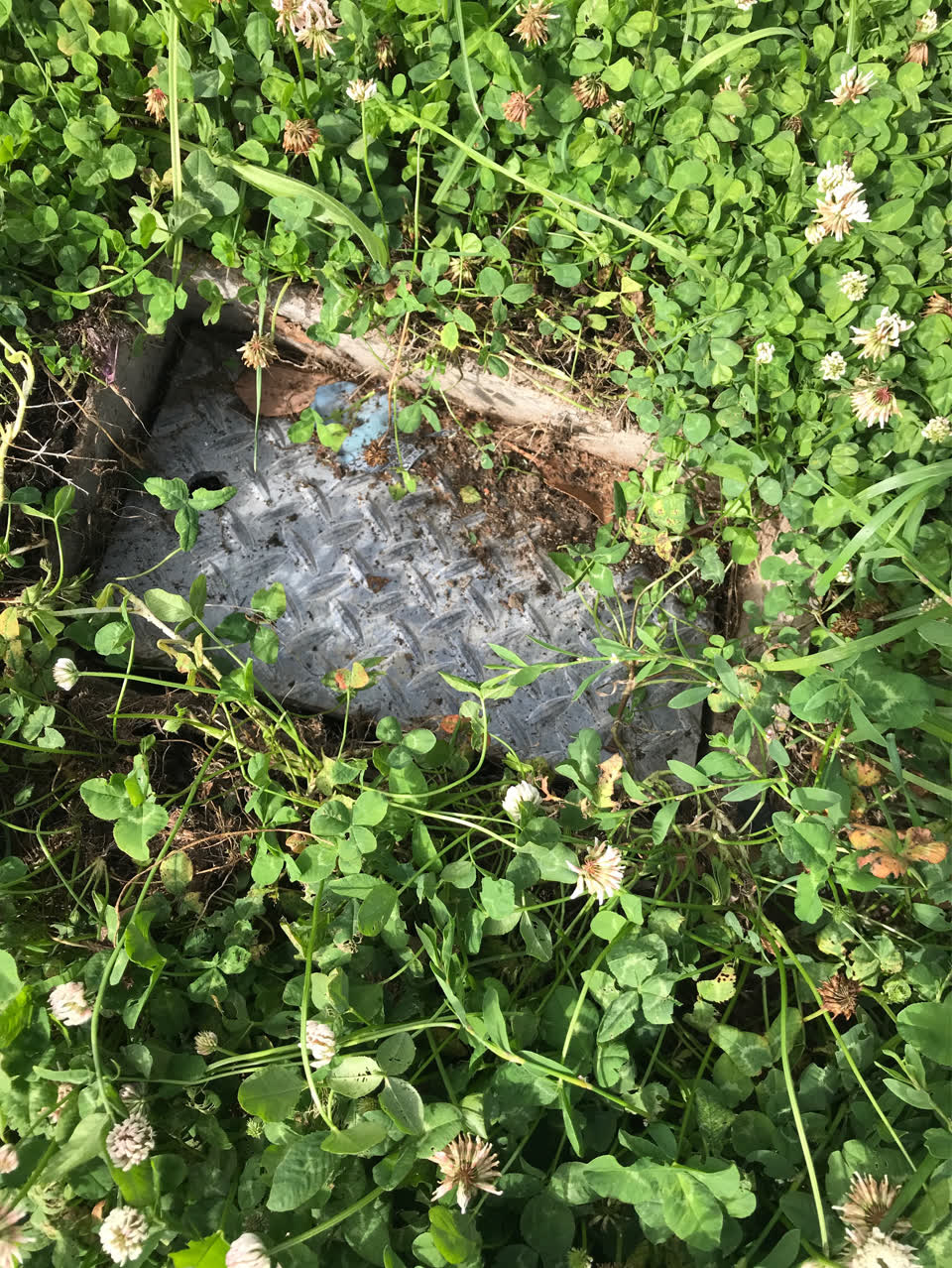 The photograph attached to this water supply report