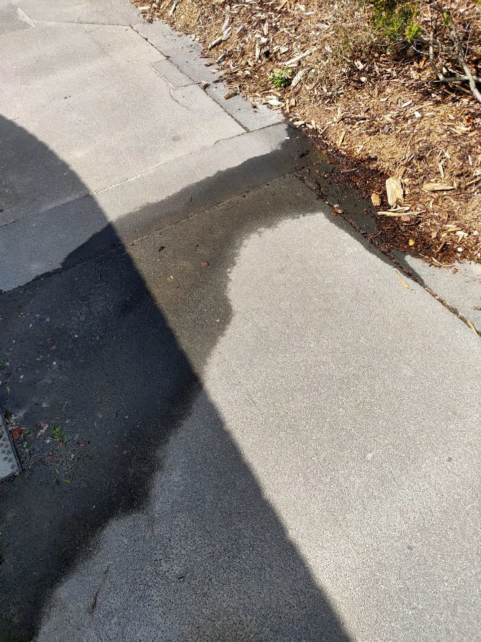 The photograph attached to this water leak report