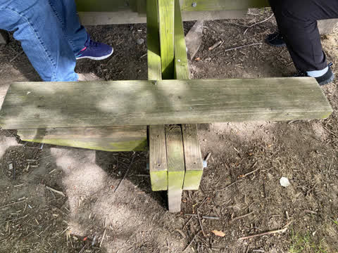 Parks, a report photo