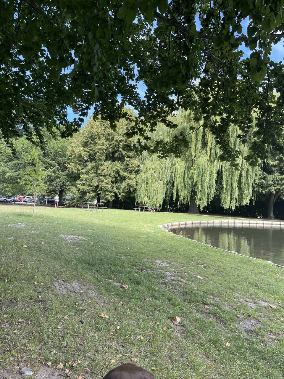 The photograph attached to this parks report