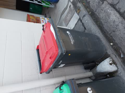 Rubbish/Recycling, a report photo