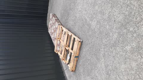 Rubbish/Recycling, a report photo
