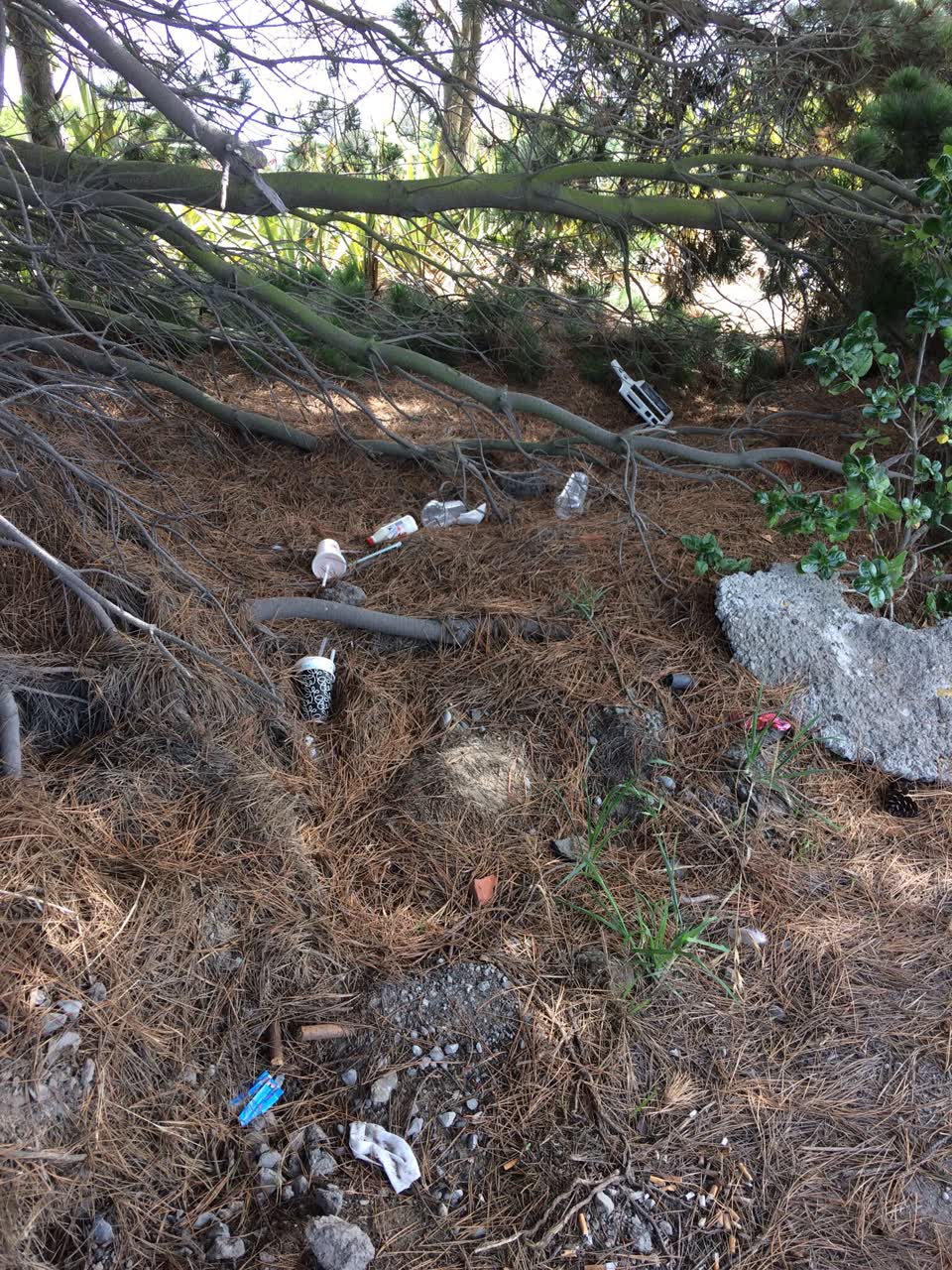 The photograph attached to this rubbish/recycling report