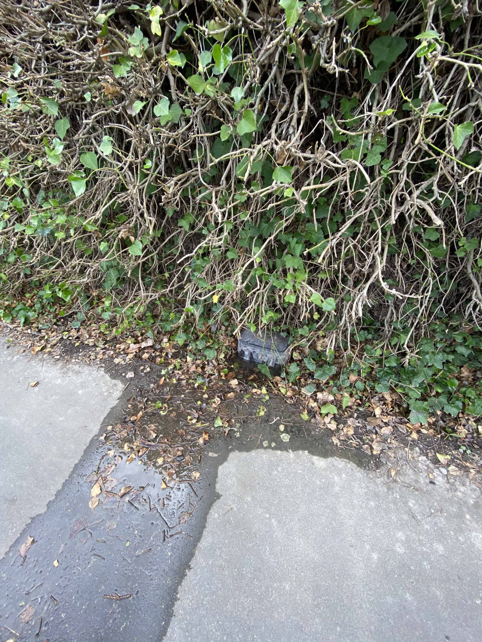 The photograph attached to this water leak report