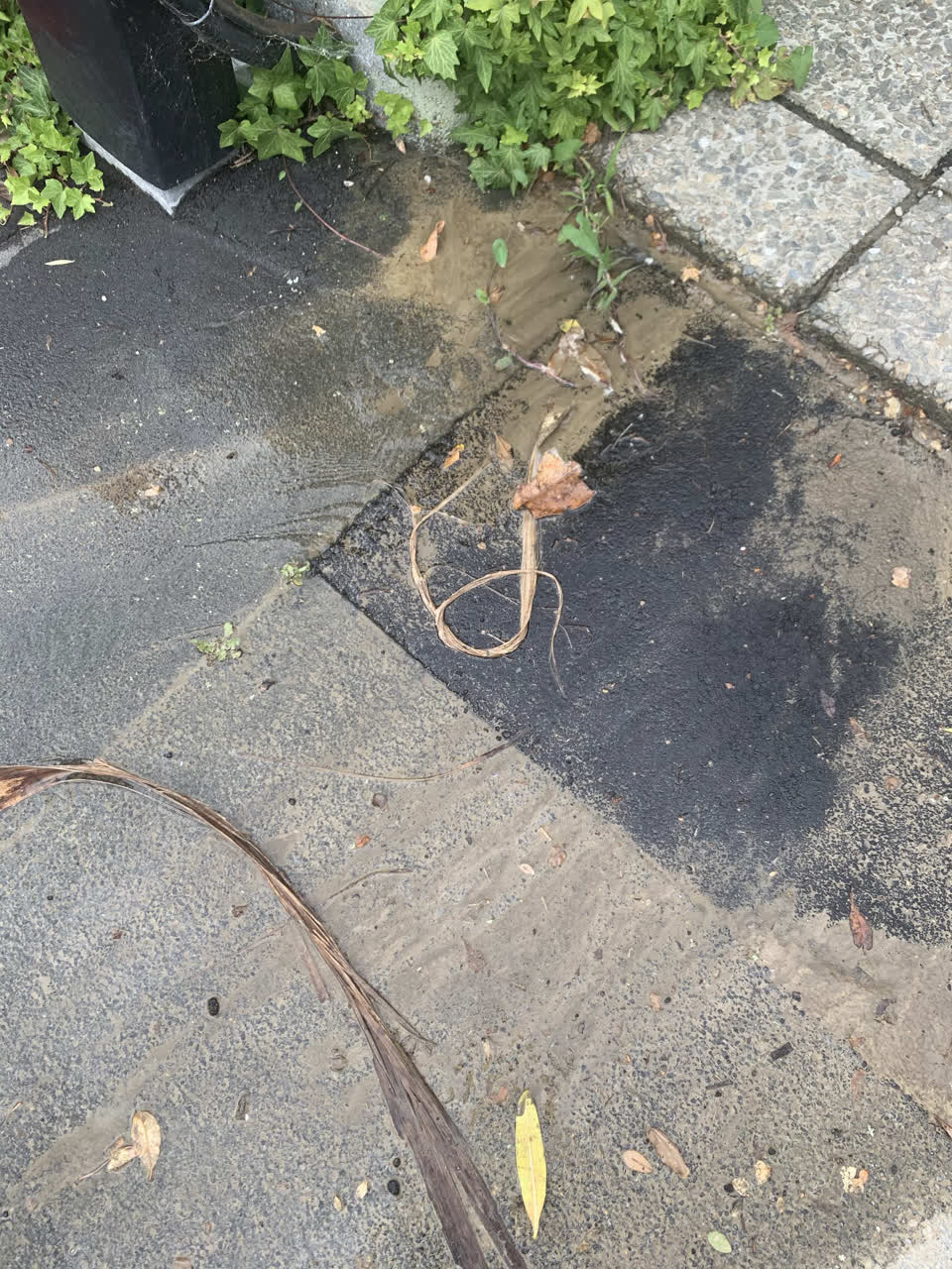 The photograph attached to this water leak report