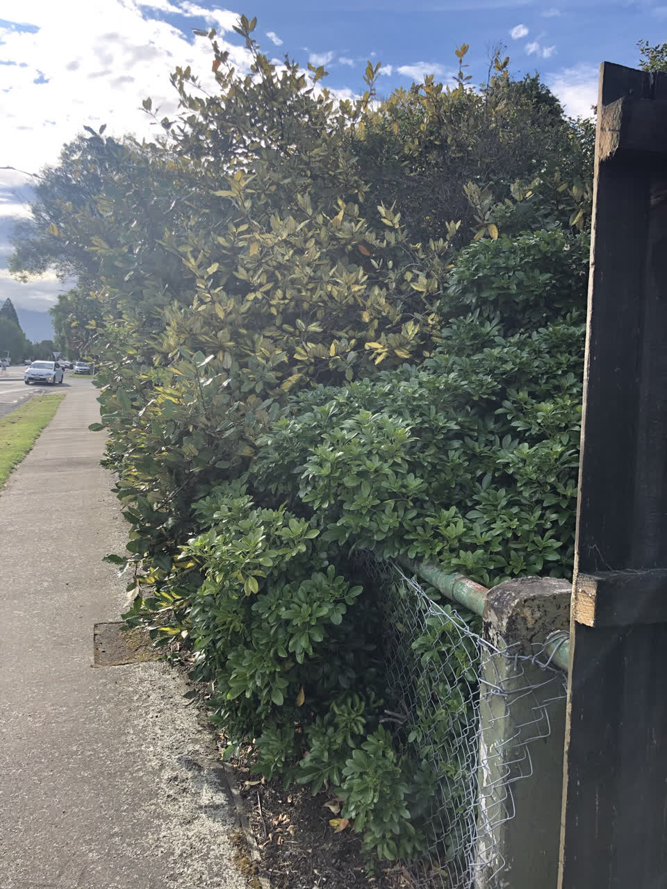 The photograph attached to this parks report