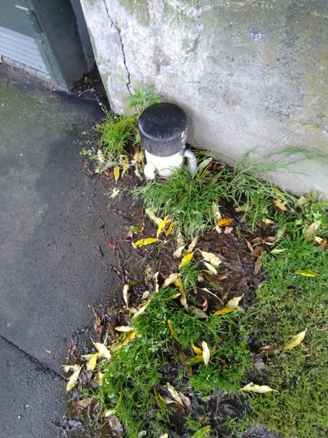 Water Leak, a report photo