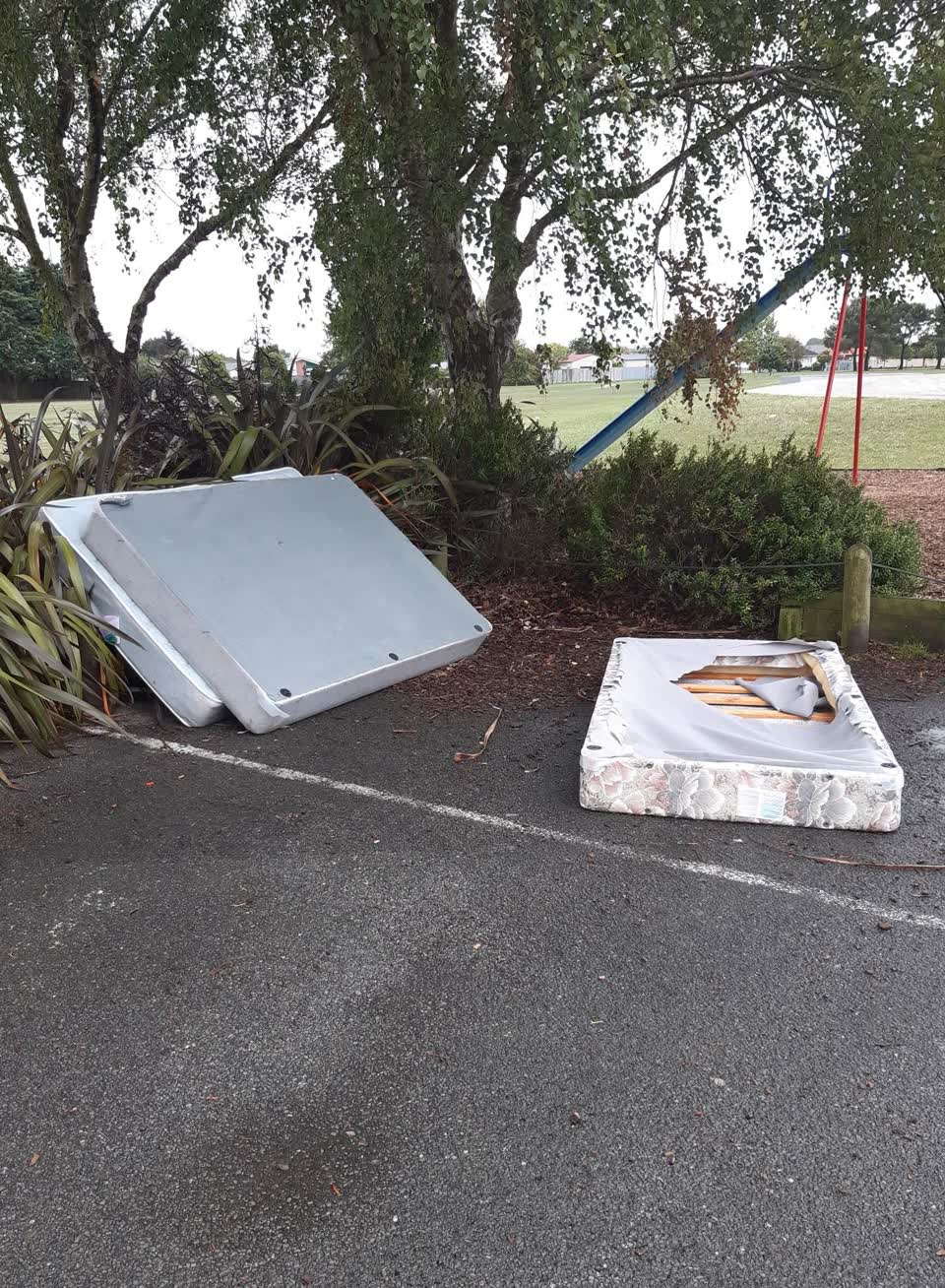 The photograph attached to this parks report