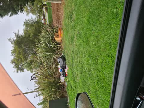 Rubbish/Recycling, a report photo