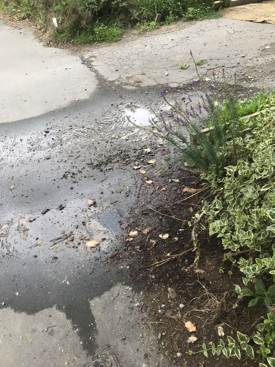 The photograph attached to this water leak report