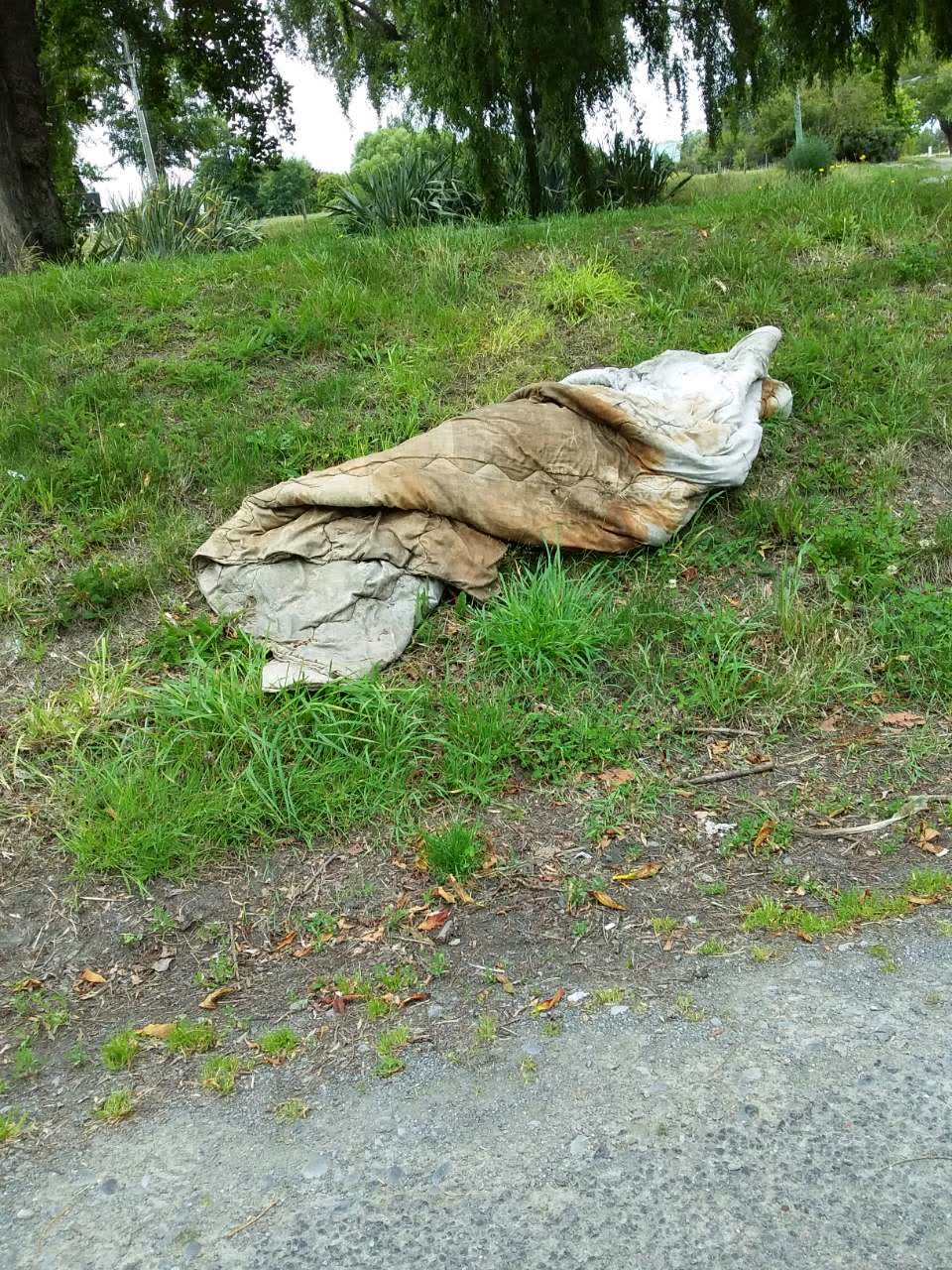 The photograph attached to this rubbish/recycling report