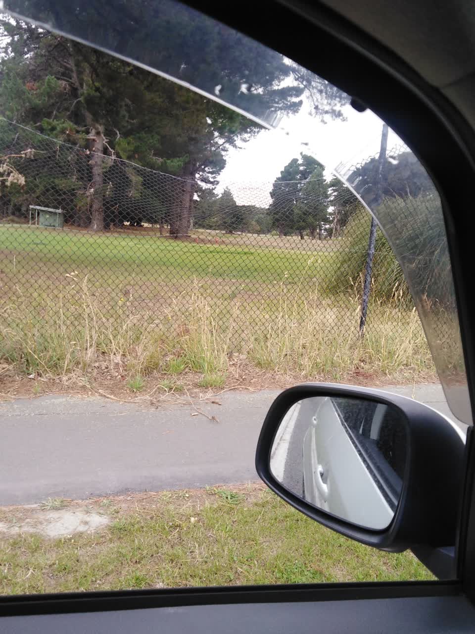 The photograph attached to this parks report