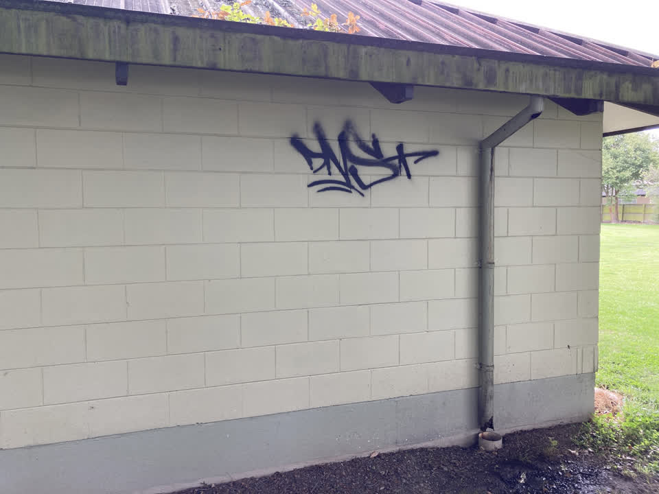 The photograph attached to this graffiti report