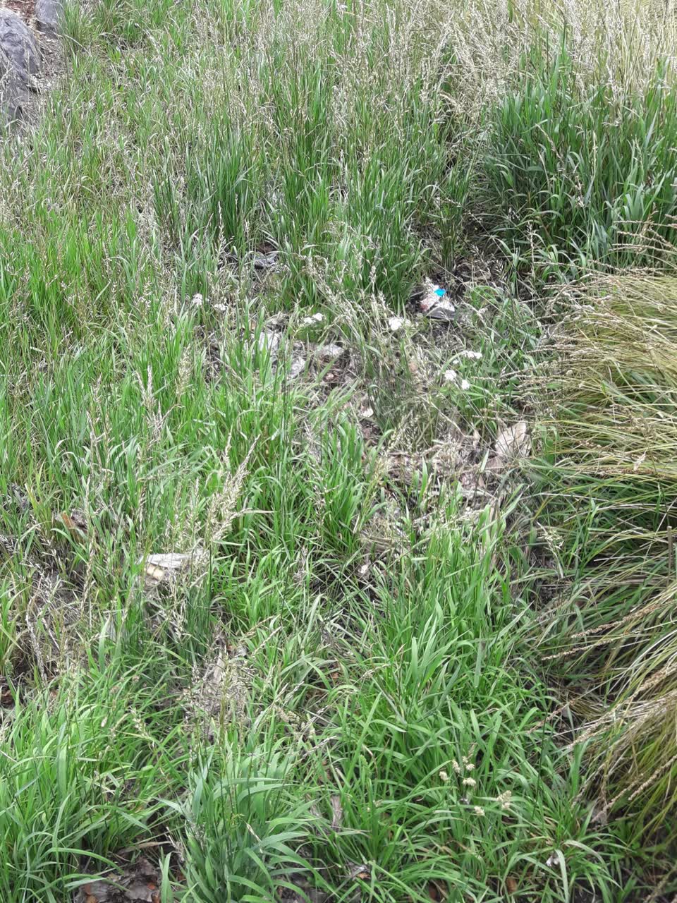 The photograph attached to this sewer - general report