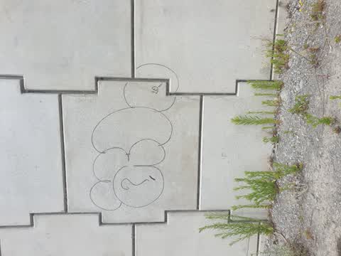 Graffiti, a report photo