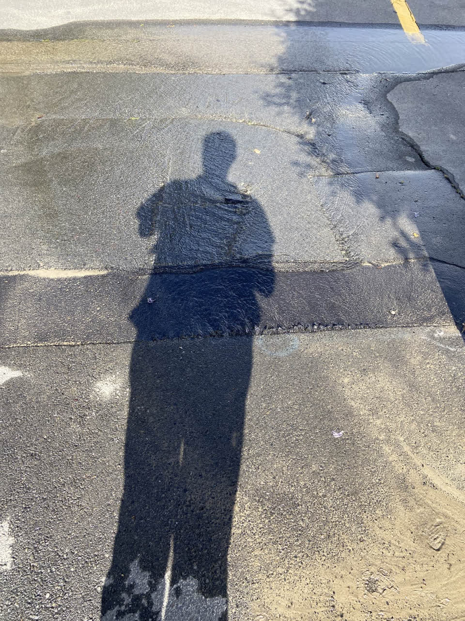 The photograph attached to this water leak report