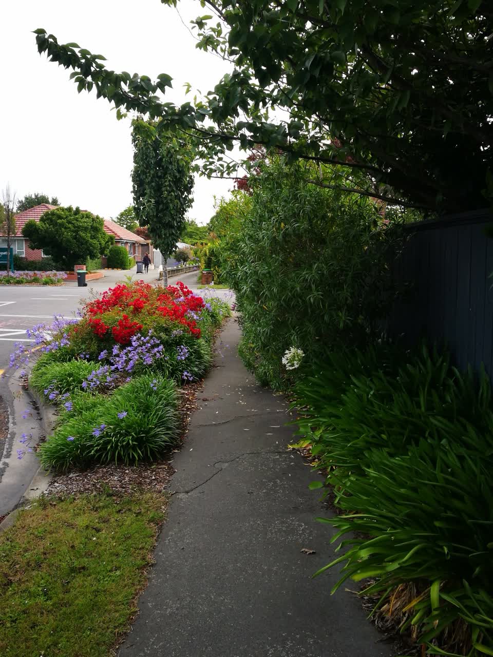 The photograph attached to this street light outage report