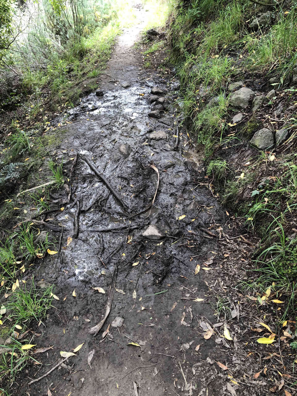 The photograph attached to this flooding report
