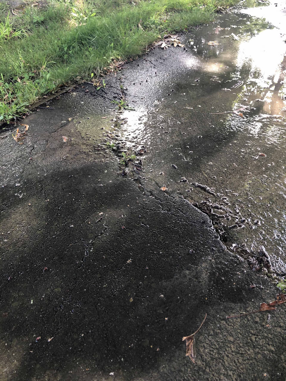 The photograph attached to this water leak report