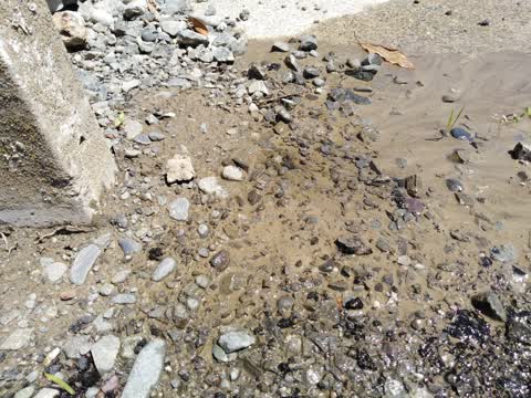 Water Leak, a report photo