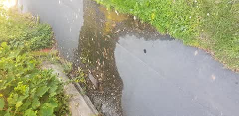 Water Leak, a report photo