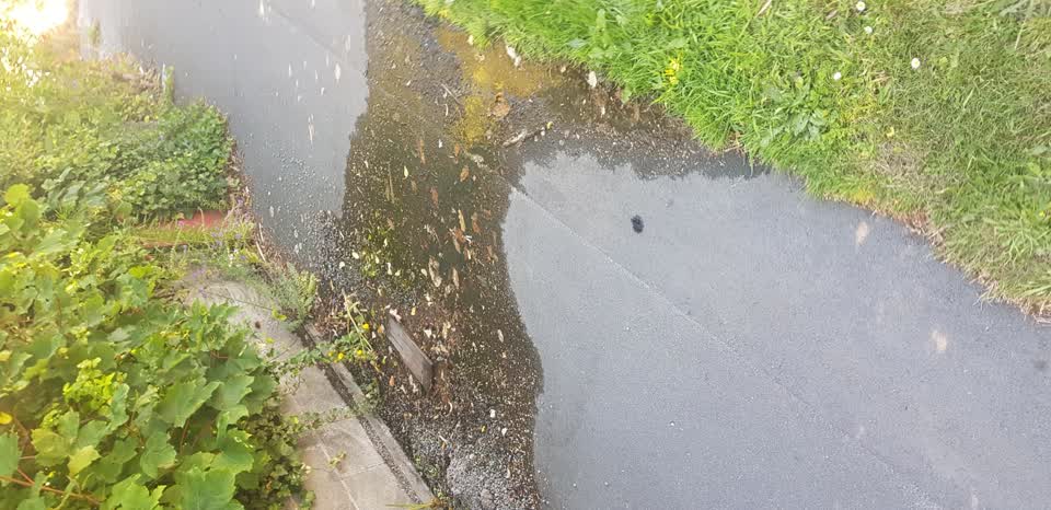 The photograph attached to this water leak report