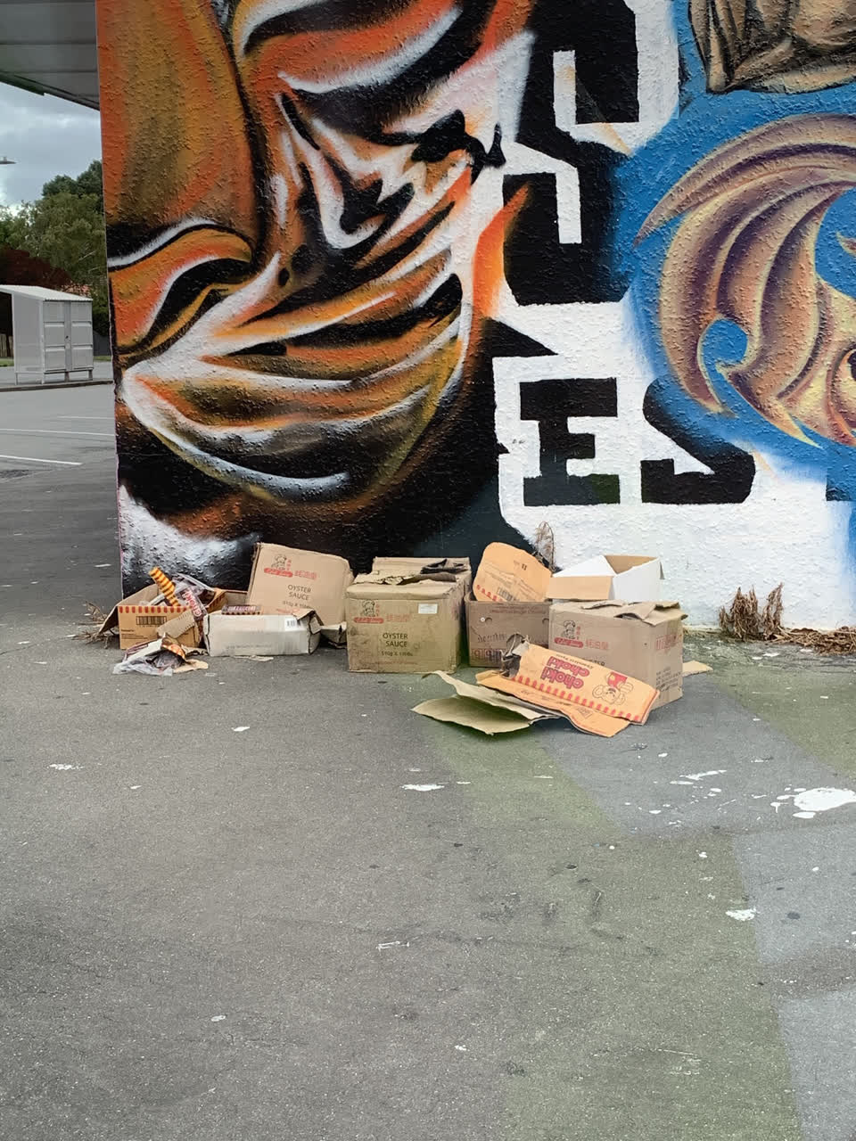 The photograph attached to this rubbish/recycling report