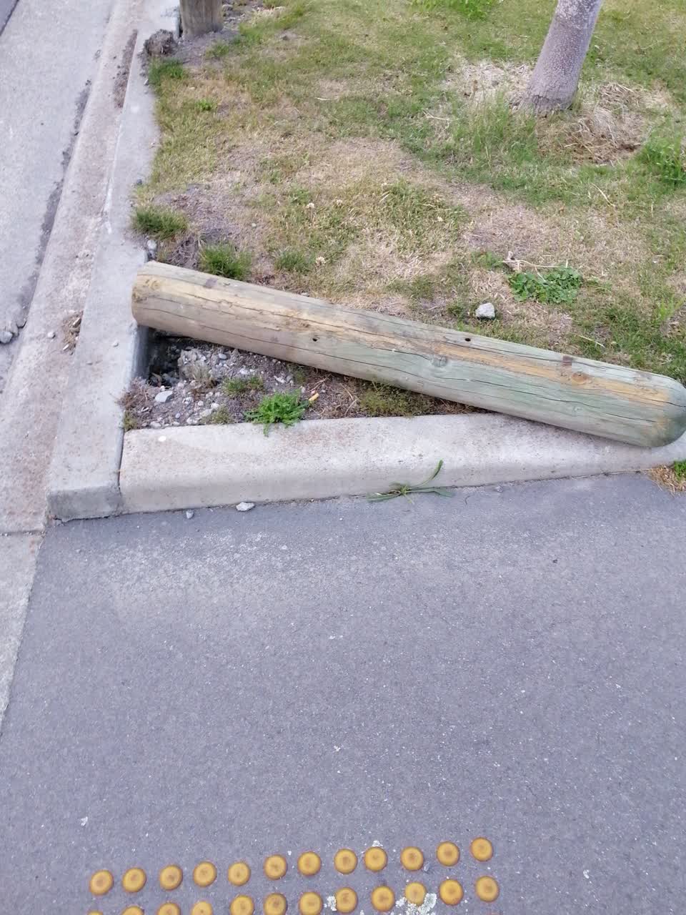 The photograph attached to this parks report