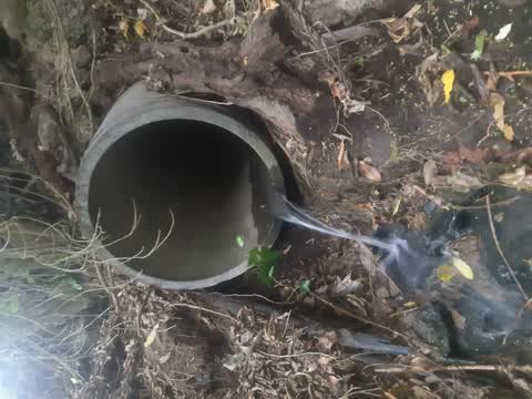 Water Leak, a report photo