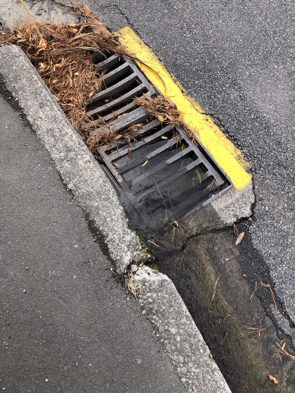 The photograph attached to this wastewater/stormwater report