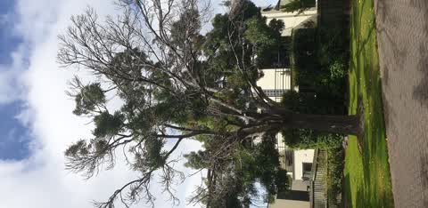 Parks, a report photo