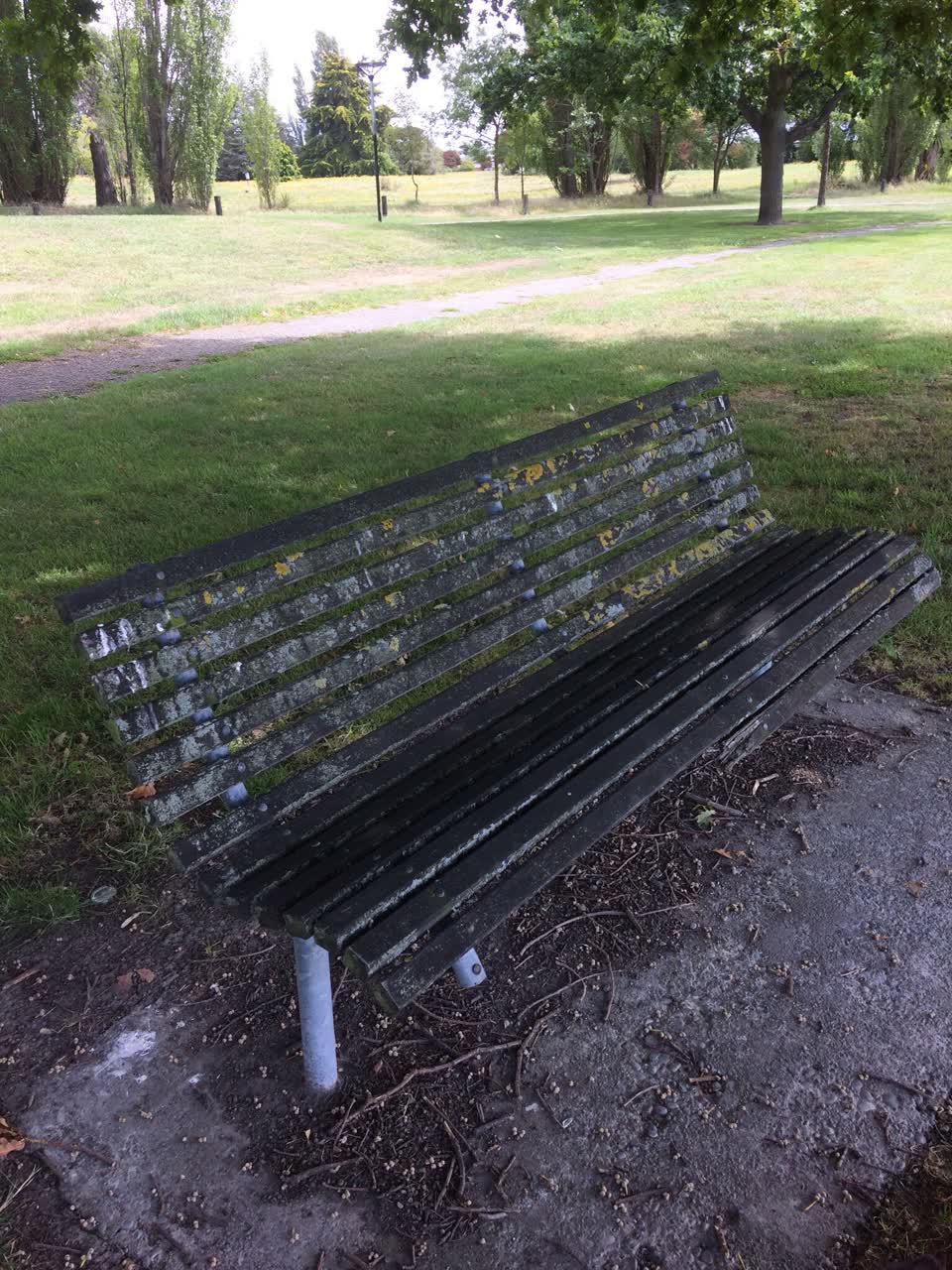 The photograph attached to this parks report