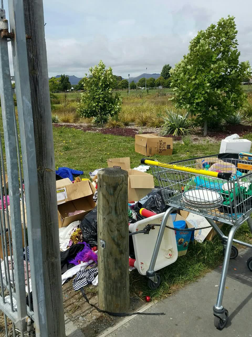 The photograph attached to this rubbish/recycling report