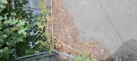 Rubbish/Recycling, a report photo
