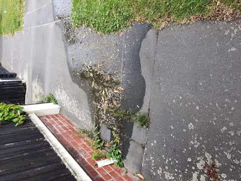 Water Leak, a report photo