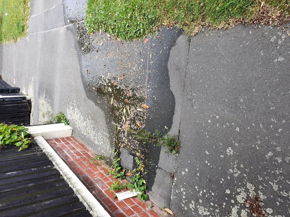 The photograph attached to this water leak report
