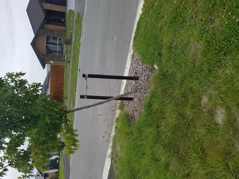 Parks, a report photo