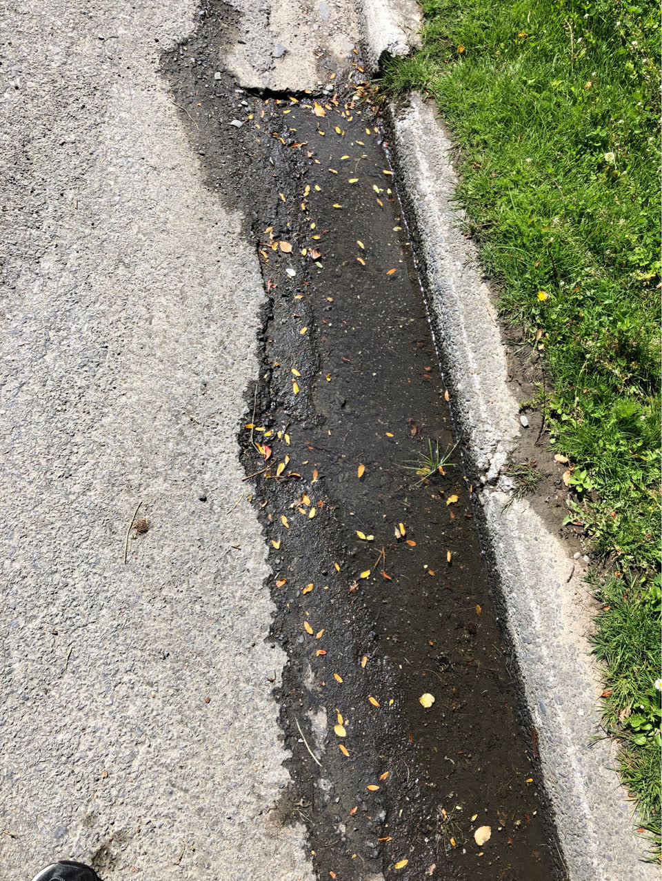 The photograph attached to this water leak report