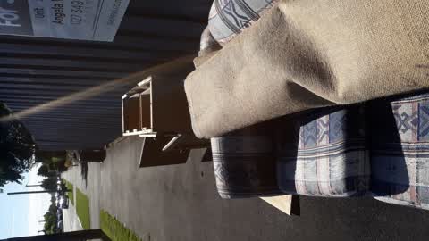 Rubbish/Recycling, a report photo