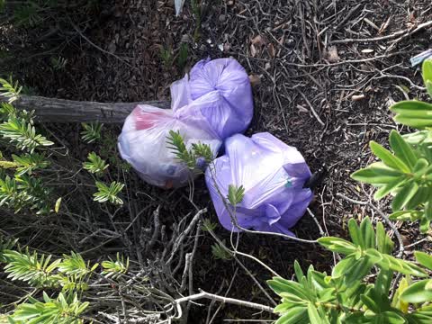 Rubbish/Recycling, a report photo