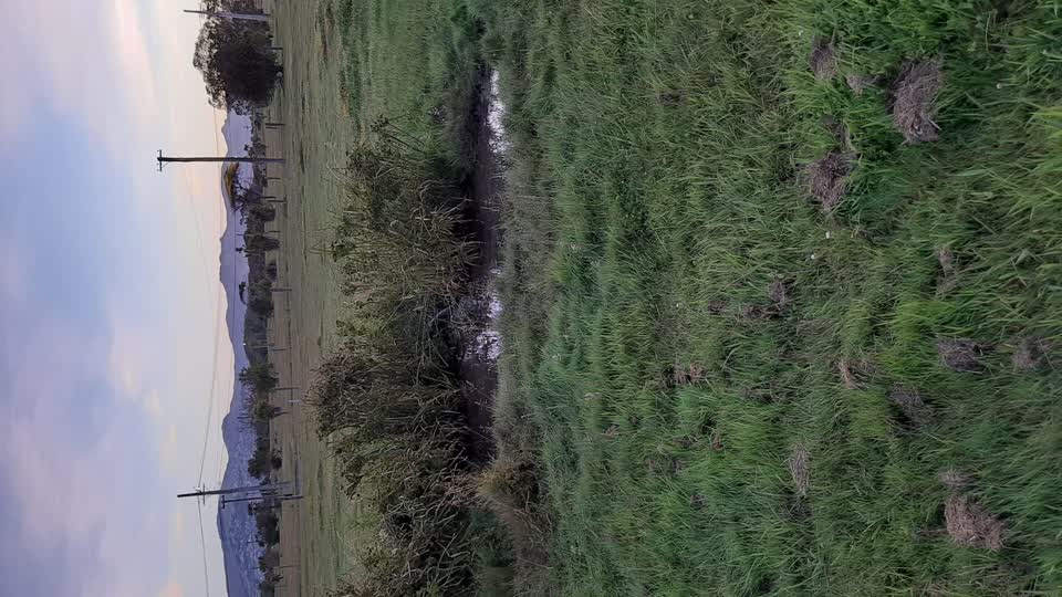 The photograph attached to this water leak report