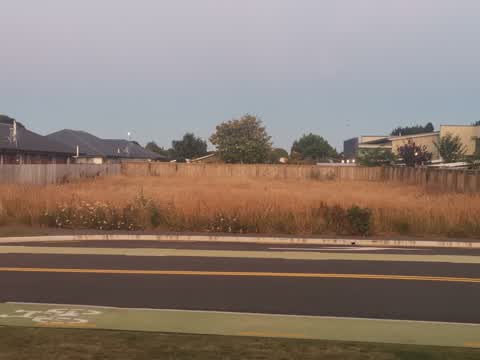 Parks, a report photo