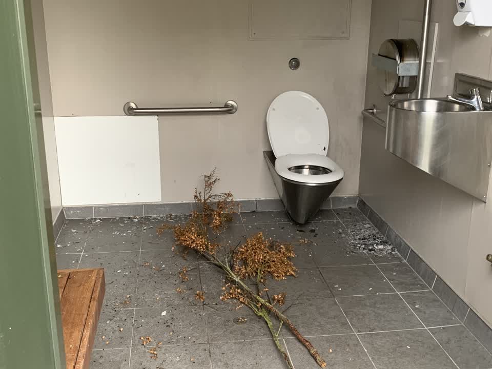 The photograph attached to this parks report
