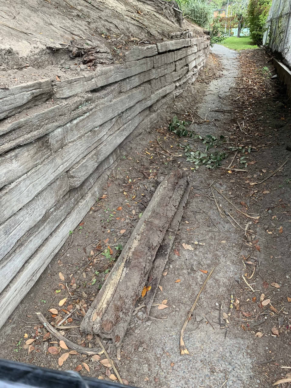 The photograph attached to this parks report