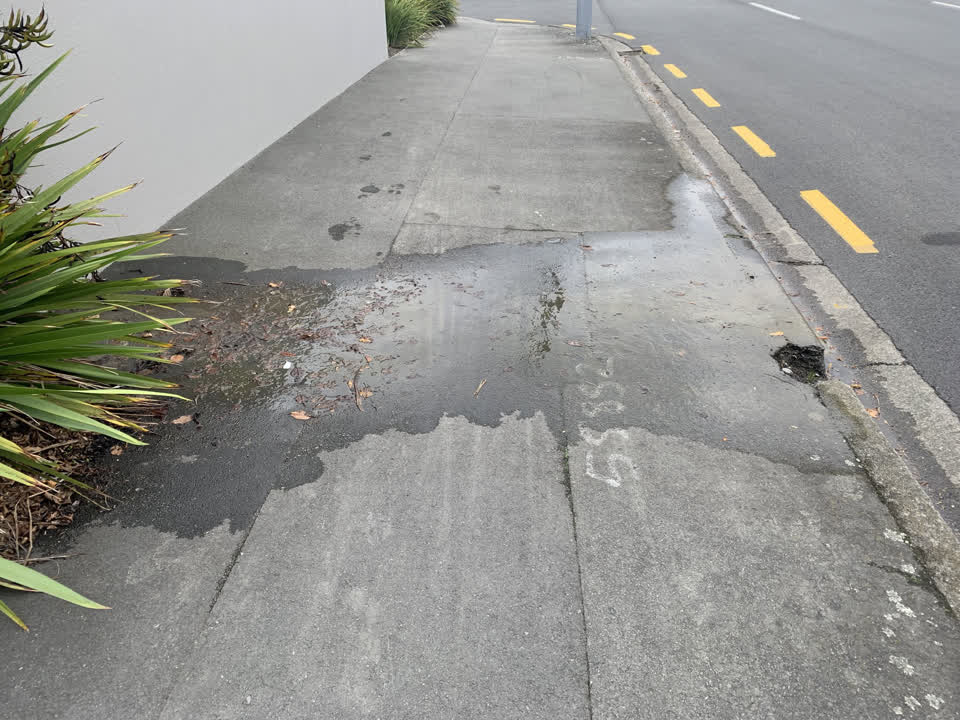 The photograph attached to this water leak report
