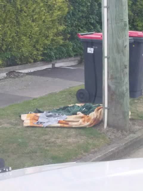 Rubbish/Recycling, a report photo